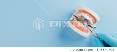 A dentist hand in gloves holds a dental mirror beside a tooth model for Dentist Day 123370705