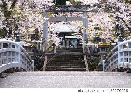 220416 護國神社 g002 220416 護國神社 g002 123370958