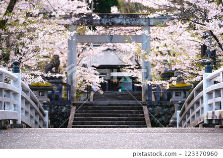 220416 護國神社 g014 220416 護國神社 g014 123370960