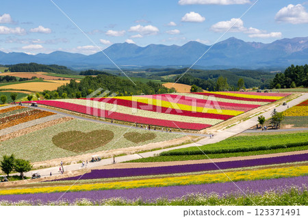 Shikisai Ayako 123371491