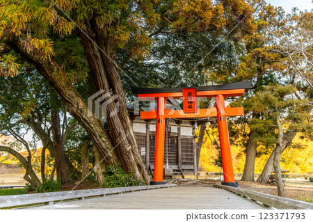 Itsukushima Wetlands Park: View of Itsukushima Shrine at dusk (Nakai Town, Kanagawa Prefecture) Itsukushima Wetlands Park: View of Itsukushima Shrine at dusk (Nakai Town, Kanagawa Prefecture) 123371793