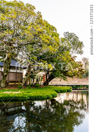 Itsukushima Wetlands Park: Itsukushima Shrine (Nakai Town, Kanagawa Prefecture) Itsukushima Wetlands Park: Itsukushima Shrine (Nakai Town, Kanagawa Prefecture) 123371831