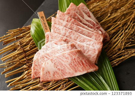 Japanese Black Beef Set 123371893