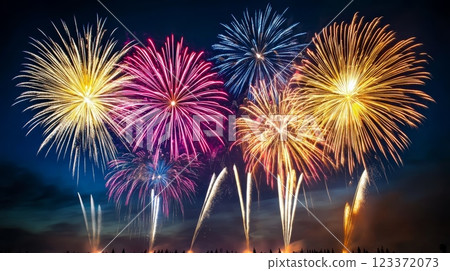 Magnificent display of fireworks lighting up the night sky during a New Year's celebration. 123372073