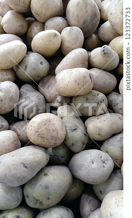 Fresh potatoes in various shapes and sizes, showcasing earthy tones and textures 123372733