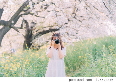 一名女子在春天的公園拍攝油菜花 一名女子在春天的公園拍攝油菜花 123372856