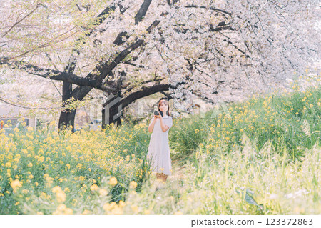 A woman taking pictures of rape blossoms in a spring park 123372863