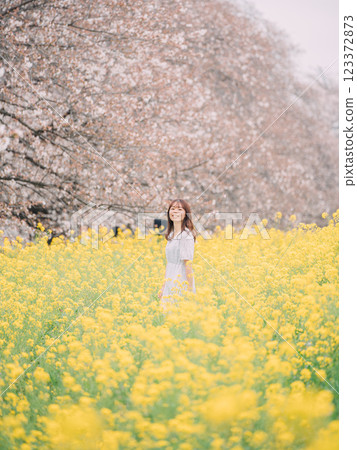 一名女子走過油菜花田,背景是一排櫻花樹 一名女子走過油菜花田,背景是一排櫻花樹 123372873