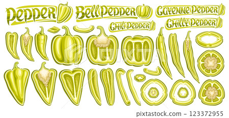 Vector White Pepper Set Vector White Pepper Set 123372955