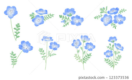 Nemophila 水彩向量插圖 Nemophila 水彩向量插圖 123373536