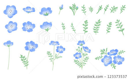 Nemophila watercolor vector illustration 123373537