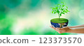 Growing plant on half globe in hand with butterfly. Green background with bokeh. World mental health and World earth day. Elements furnished by NASA. Saving environment and World Ecology Concept. 123373570