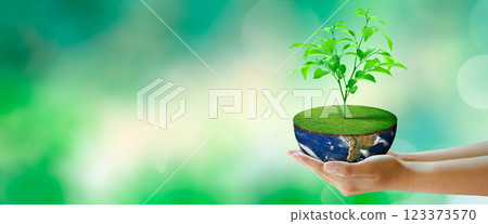 Growing plant on half globe in hand with butterfly. Green background with bokeh. World mental health and World earth day. Elements furnished by NASA. Saving environment and World Ecology Concept. Growing plant on half globe in hand with butterfly. Green background with bokeh. World mental health and World earth day. Elements furnished by NASA. Saving environment and World Ecology Concept. 123373570
