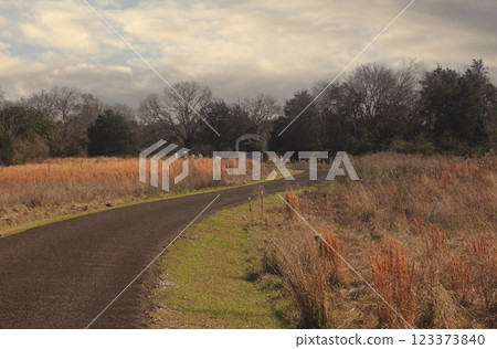 Historic Cemetery Located in Noonday TX on Cloudy Day 123373840
