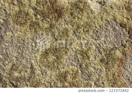 Close up of Historic Headstone in Rural East TX Cemetery 123373842