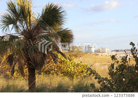 Sunny Day at St Pete Beach Florida Sunny Day at St Pete Beach Florida 123373886