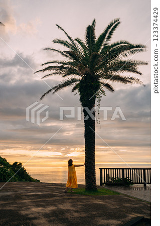 宮崎美麗的海灘和日落 宮崎美麗的海灘和日落 123374429