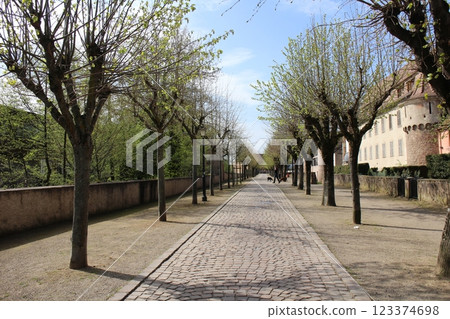 Obernai, France: Old town street 123374698