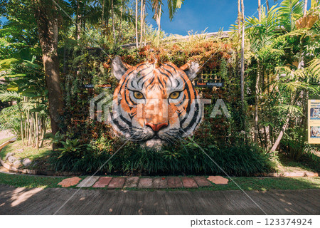 Thailand's tourist spot: Tiger Kingdom 123374924