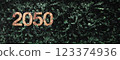 net zero carbon emission 2050 on big green leaves wall background  for sdgs goals in a sustainable 123374936