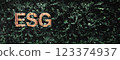 ESG (environment,social,governance)  text on big green leaves wall background  for sdgs goals in a sustainable 123374937