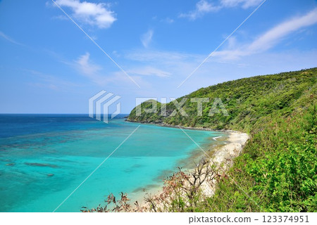 奄美大島大和村國直 初夏的風景 123374951