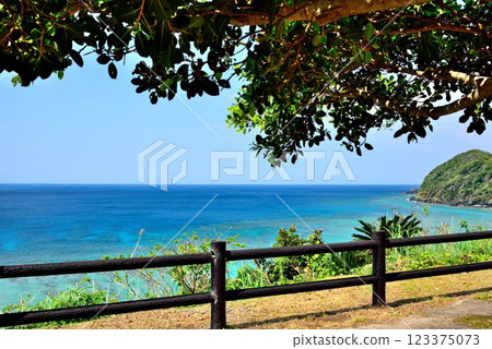 Amami Oshima Yamato Village Kuninao Early summer scenery Amami Oshima Yamato Village Kuninao Early summer scenery 123375073