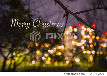 聖誕燈飾  聖誕燈飾 123375271