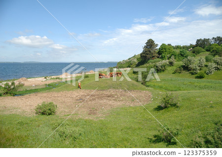 Cows and green landscape Cows and green landscape 123375359