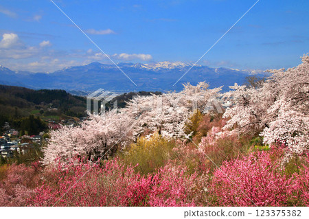 Hanamiyama, a famous flower viewing spot (Fukushima City, Fukushima Prefecture) 123375382