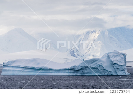 Antarctic landscape near the Lemaire channel Antarctic landscape near the Lemaire channel 123375794