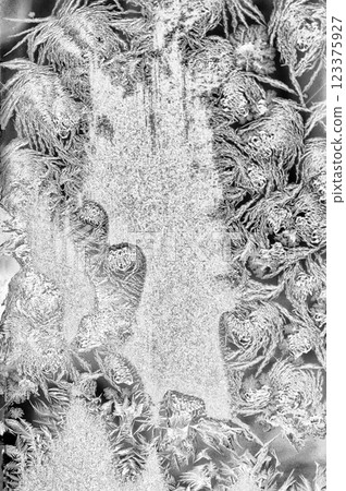 The frosty pattern on the glass is a miracle of nature. Frost on the window. Abstraction "Snowball Eater". Black and white. The frosty pattern on the glass is a miracle of nature. Frost on the window. Abstraction "Snowball Eater". Black and white. 123375927