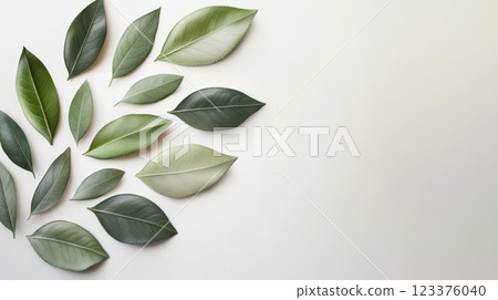 Assorted Green Leaves on White Background for Minimalist Natural Design ai generative ai generative 123376040