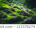 Tranquil Green Landscape with Mossy Rocks in Lush Forest Setting ai generative ai generative 123376274