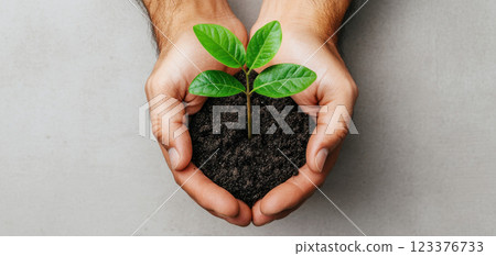 Nurturing hands cradle small green tree, symbolizing growth and care Nurturing hands cradle small green tree, symbolizing growth and care 123376733