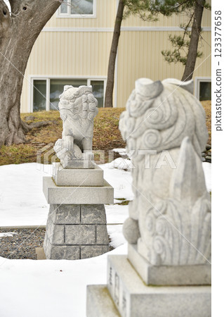 冬季拍攝北海道江差的柏森神社場地 冬季拍攝北海道江差的柏森神社場地 123377658