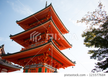 Haiden is hall of worship or oratory. Japanese traditional temple or shrine with golden red roof Japan 123377684