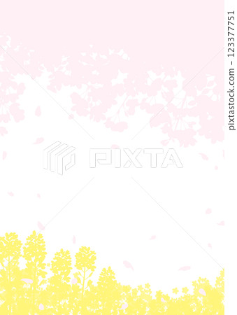 Soft silhouettes of cherry blossoms and rape blossoms 123377751