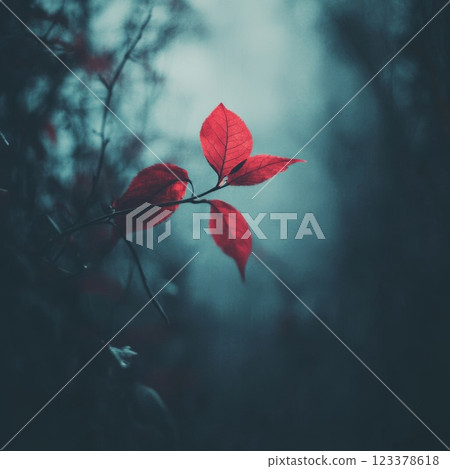 Nature's vibrant red leaves shine amidst a dark, moody backdrop 123378618