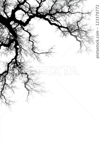 Branches intertwining against a bright white background in winter Branches intertwining against a bright white background in winter 123378772