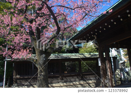 Ebara Shrine Ebara Shrine 123378992