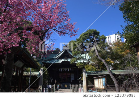 Ebara Shrine 123379085