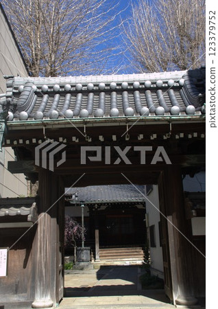 Shotokuji Temple 123379752