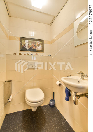 Features a sleek toilet, stylish sink, and minimalistic decor against subtle wall colors. Perfect for contemporary home settings. 123379975
