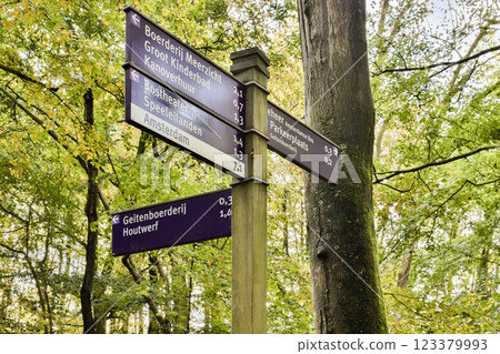 A detailed view of directional signposts in a verdant forest, showcasing pathways leading to various destinations, surrounded by nature's beauty. 123379993