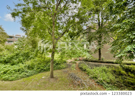 A vibrant display of greenery featuring trees and shrubs in an urban environment, inviting a peaceful natural ambiance amidst buildings. 123380023
