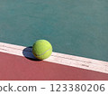 tennis ball on the tennis court 123380206