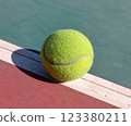 Tennis ball on a tennis court 123380211