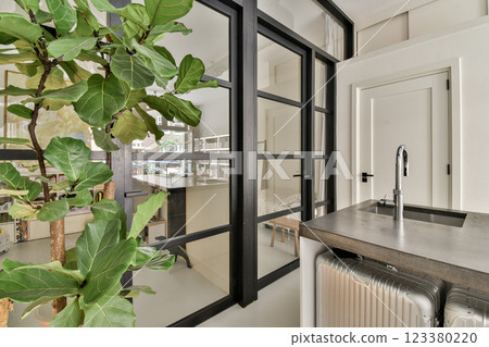 A sleek and stylish modern interior featuring black-framed glass doors, minimalist design, and a vibrant indoor plant, creating a fresh atmosphere. 123380220