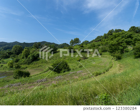 Asuka Village in summer with fresh greenery spreading out 123380284